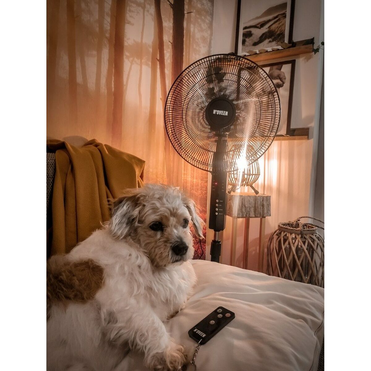 V2H84B4CB890E169E4AE1C92C0768482AFDR5649872P5