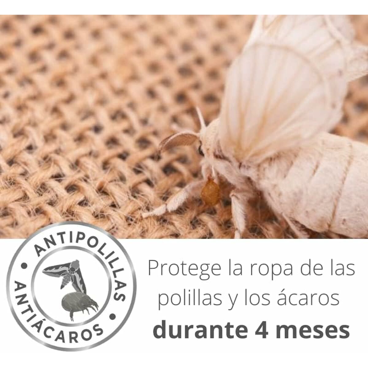 V1H039DA3D6F2A3C22FC83D370CA775533ARP6