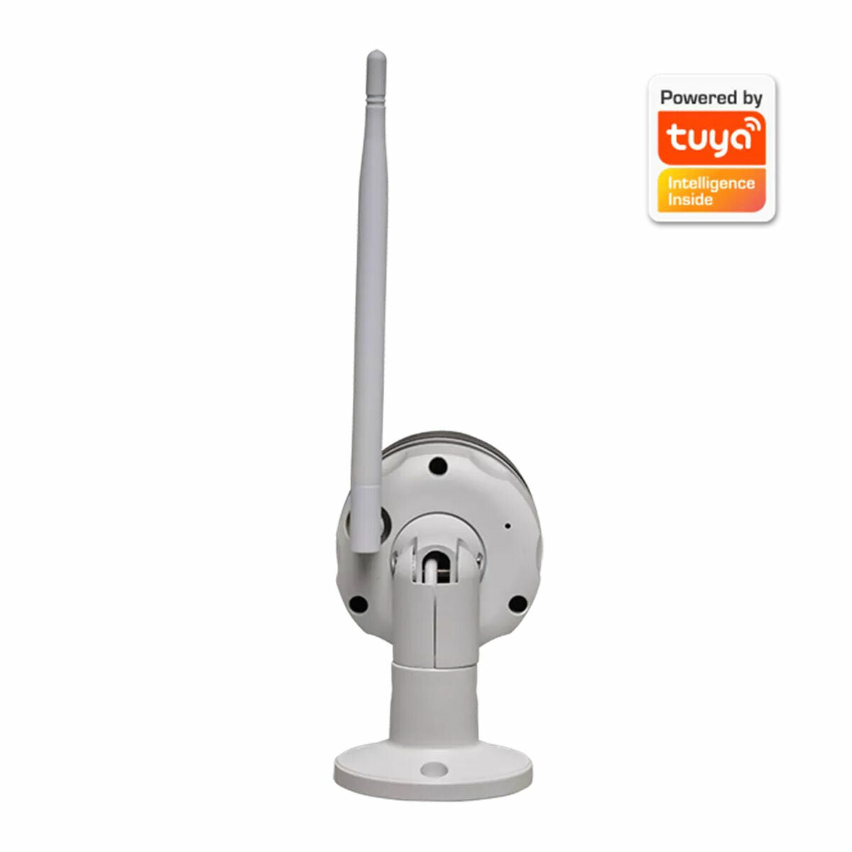 V2HFF85AB61CAA1AC1A98CBF26AB7C62C04R5446183P4