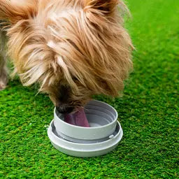 6-in-1 koiran flexi Leashic