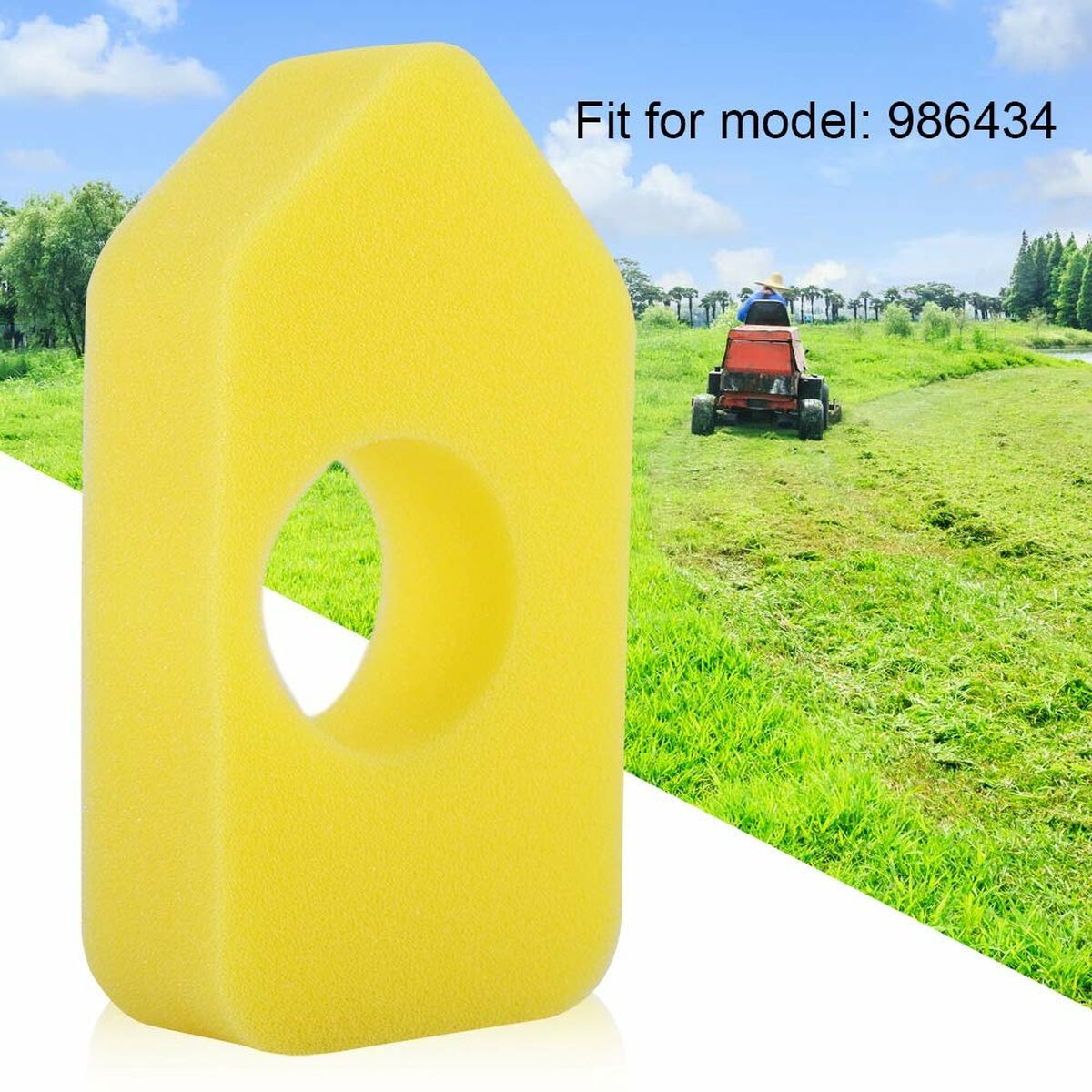 V1H6446C86E55AE959A0616F2E6B11AD3D9RP10