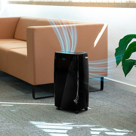 V9H6074F6FEE3BE84003EB8319C243B3F62R3251635P1