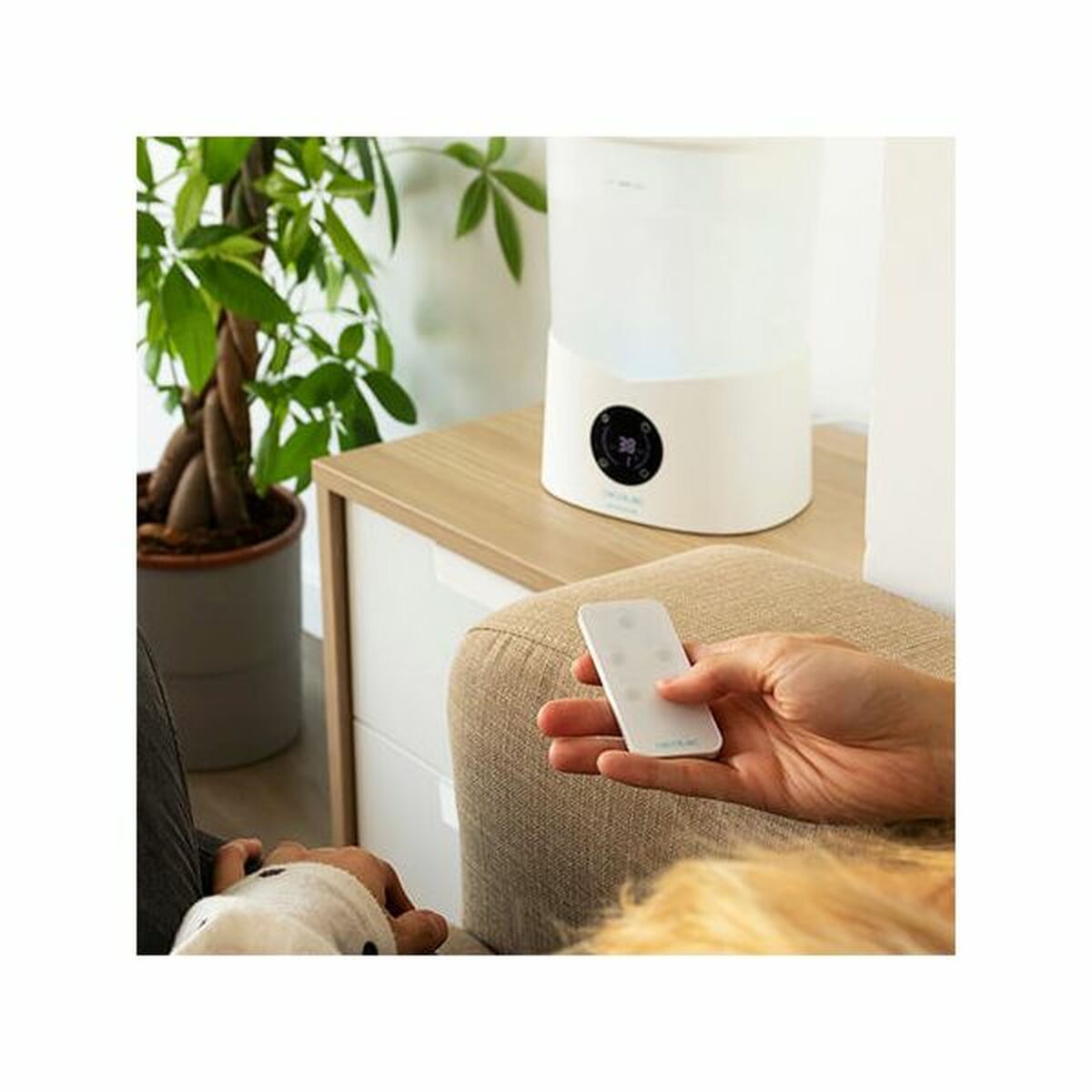 V10H776C845C61142FC895F5D2CFE755D7CCR3218377P5