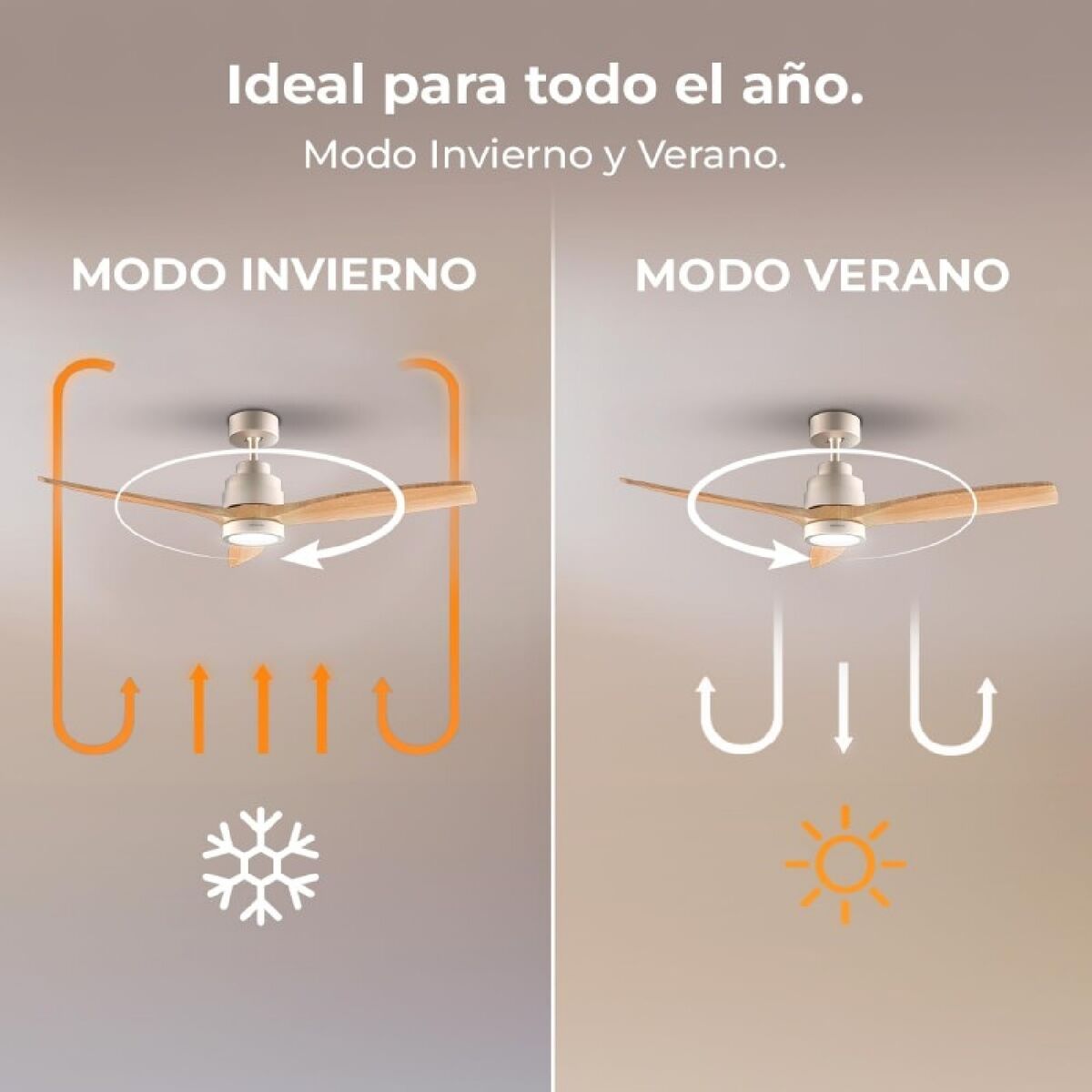 V2H6BD4E5588209752E97D34CCBF634EED6R6855164P3