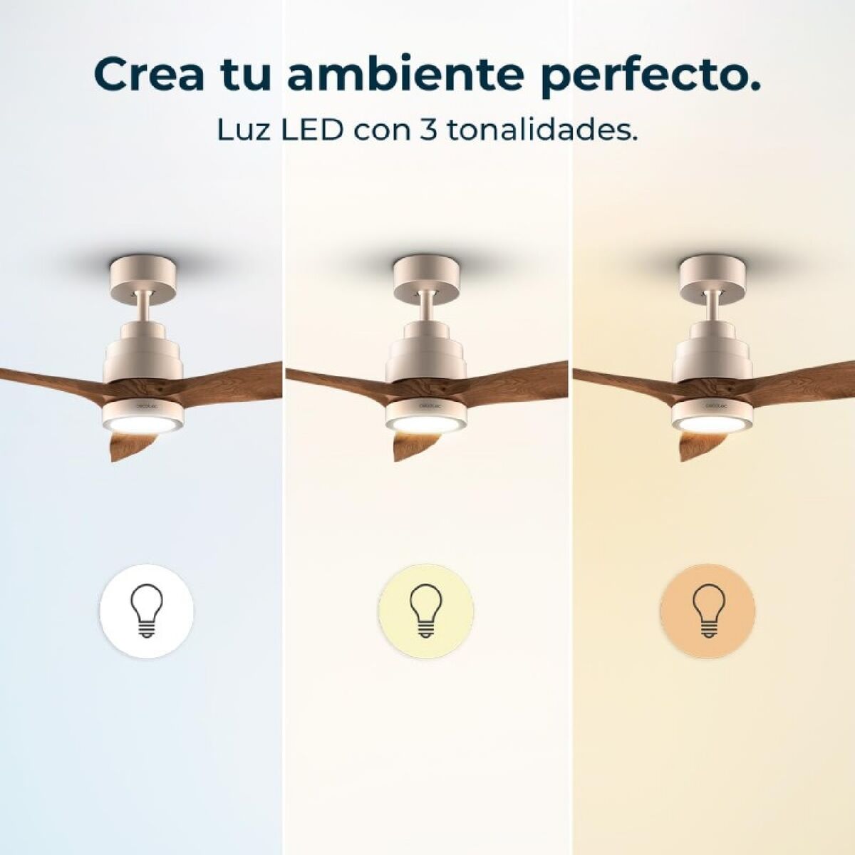 V2H2019B42F45441C357CE4C6F2D847EA41R6855279P4