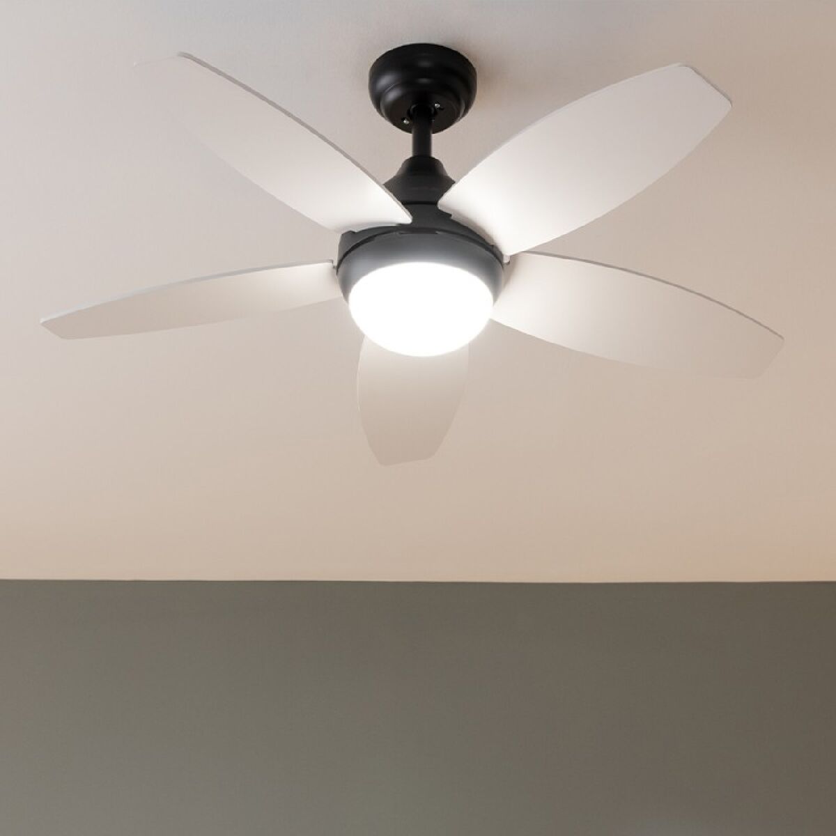 V2HAC83CA4F493973F66EA258B0FCBBB689R6940848P2