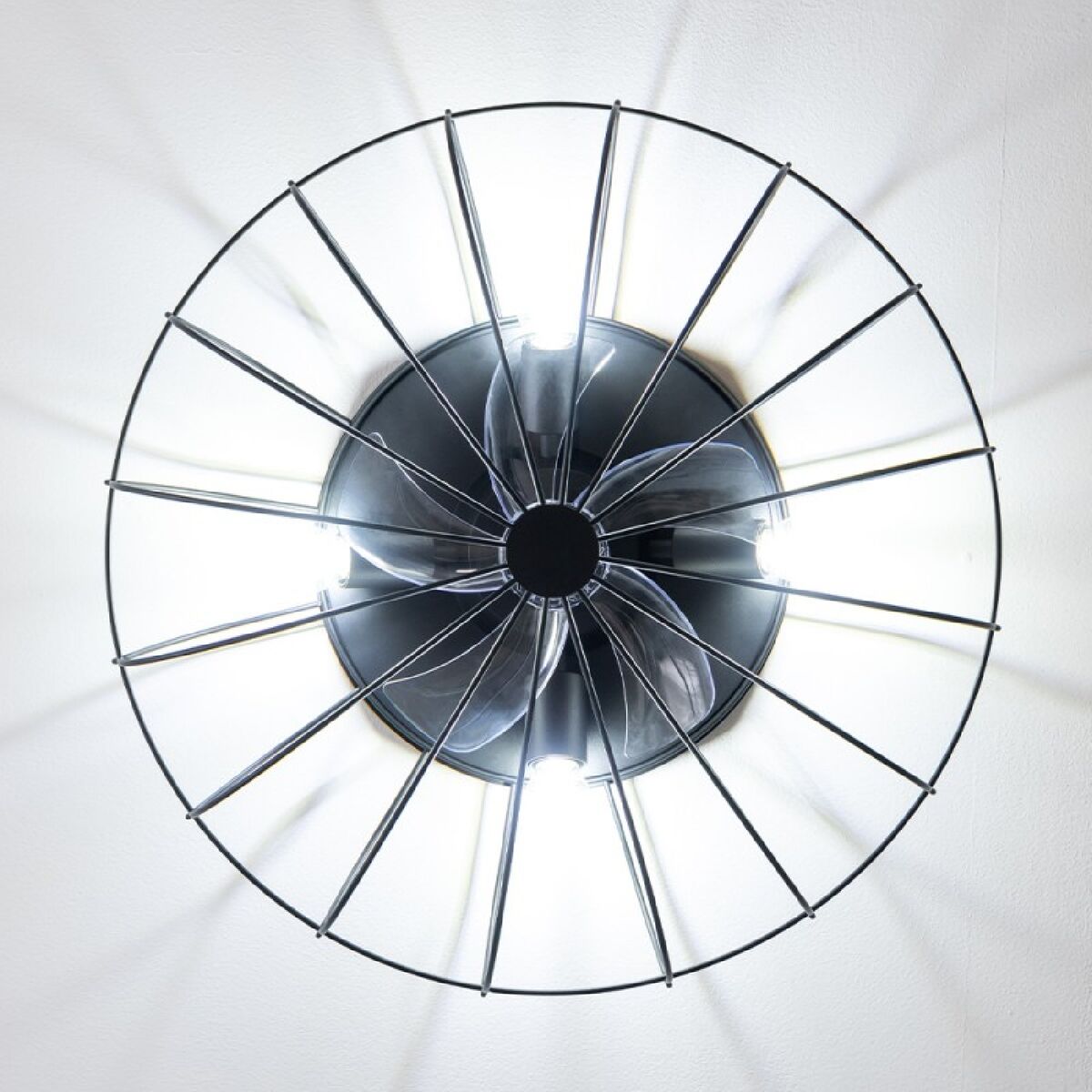 V4H3AAA2F2FAD33FEB6019E8CAFB603596CR5282497P3