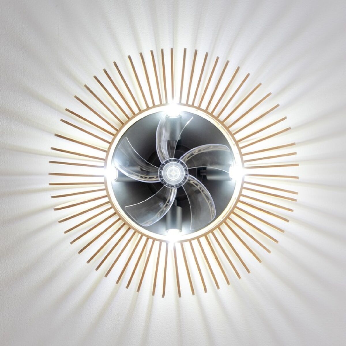 V4HD8AAAF6C9CF669B57A7293A097A85A6AR5176218P2