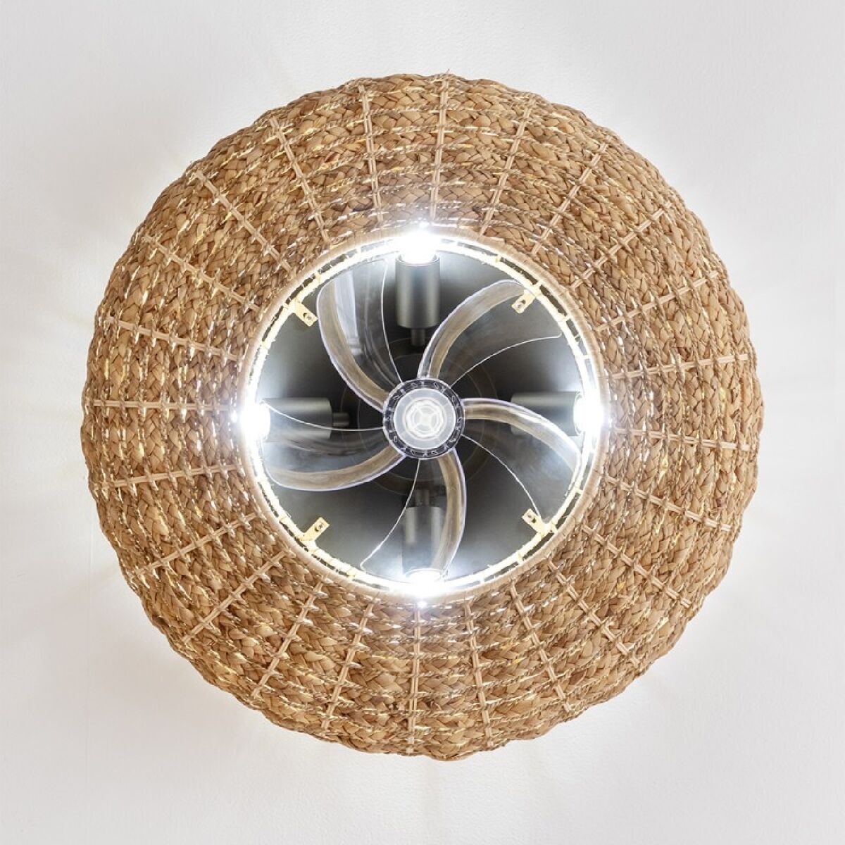 V4HDEFC1729461E9673166323ED6BEA37EBR5176231P2